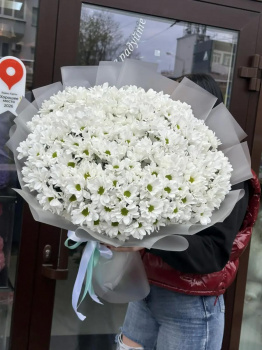 Букет из кустовой ромашковой хризантемы
