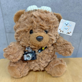 Мишка фотограф