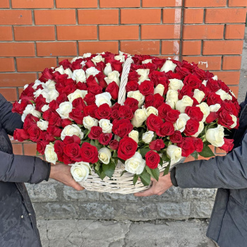 Букет 201 белых и красных роз