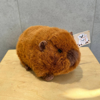 Капибара
