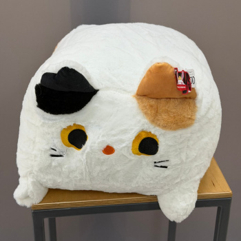 Кот квадратный